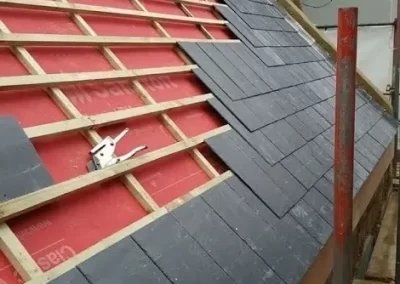 Professional Roofing